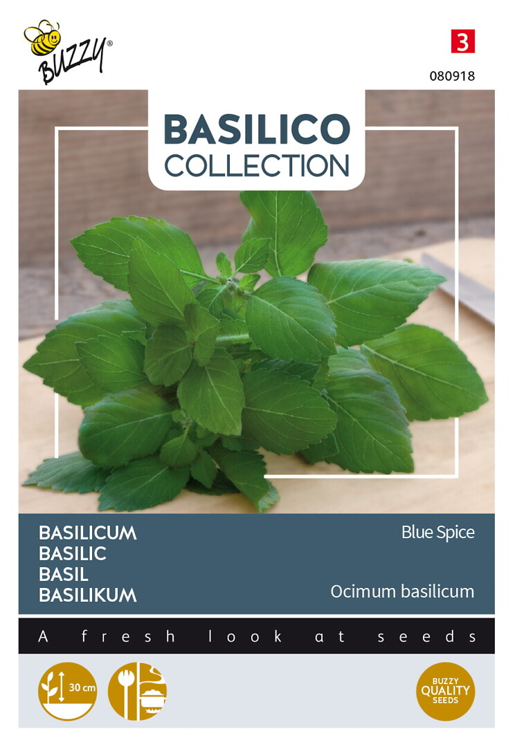 Basilico basilika Blue Spice