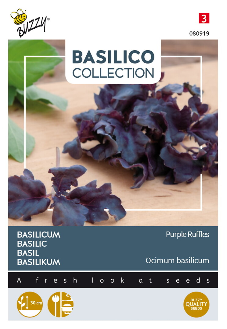 Basilico basilika Purple Ruffles