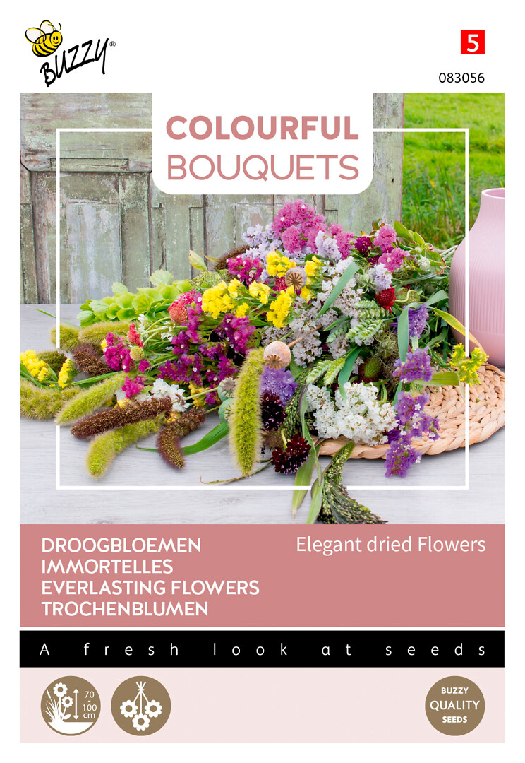 Colorful Bouquets Elegant dried flowers