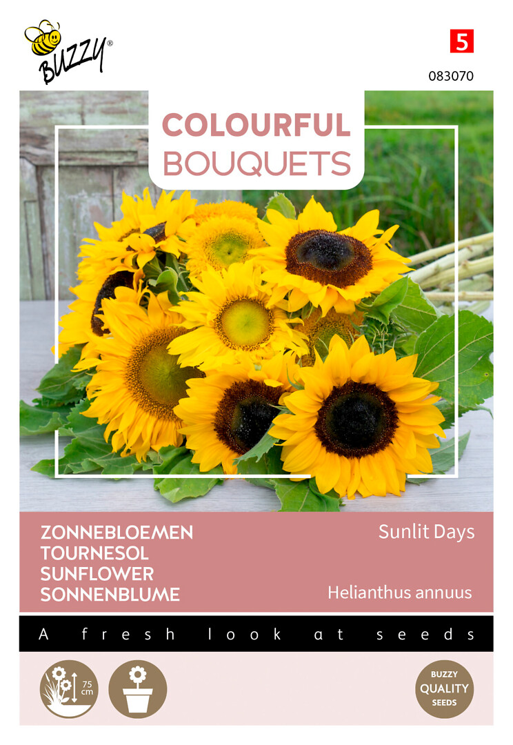 Colorful Bouquets Sunlit Days Sunflower