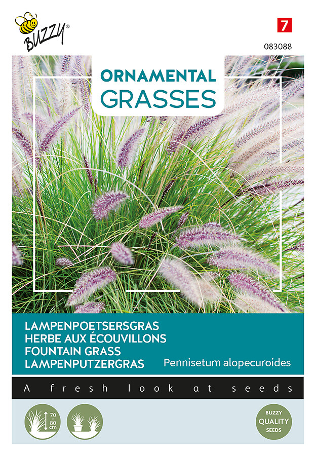 Ornamental Grasses koristesulkahirssi