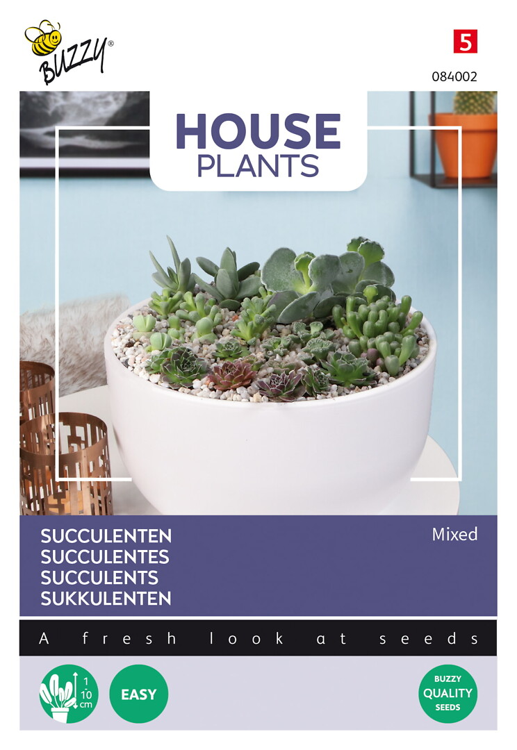 House Plants Succulents, mehikasvisekoitus