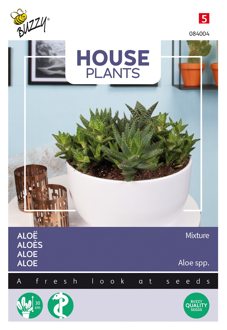 House Plants Aloe, aloesekoitus