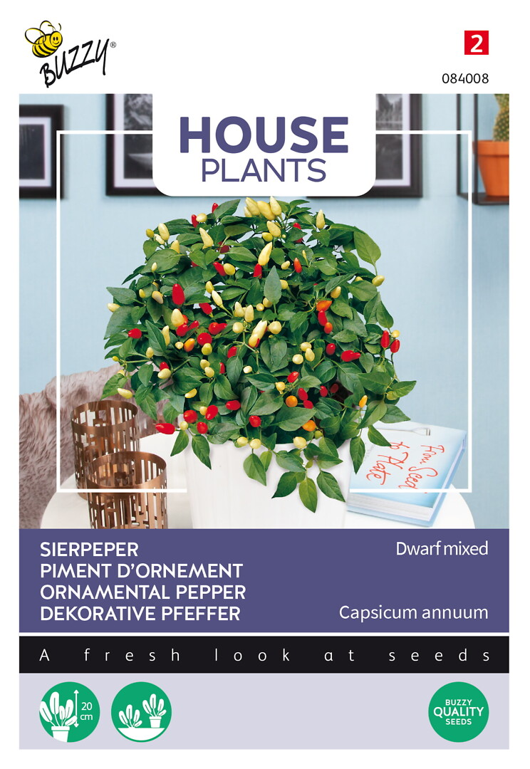 House Plants Capsicum, koristepaprika
