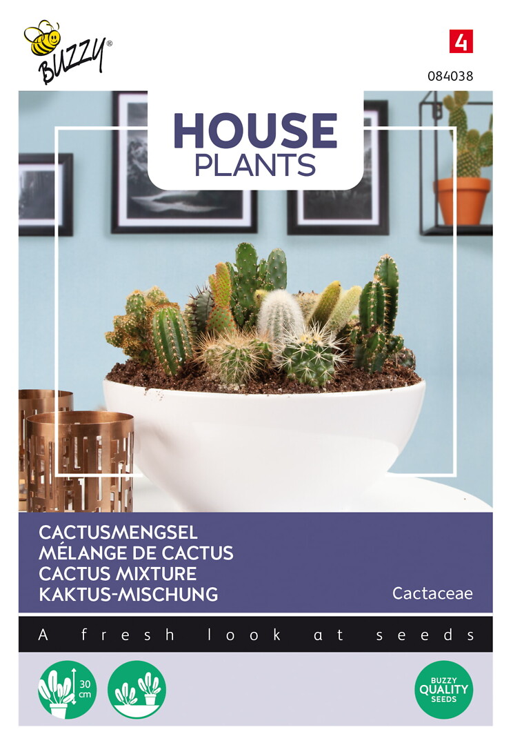 House plants Cactaceae, kaktussekoitus