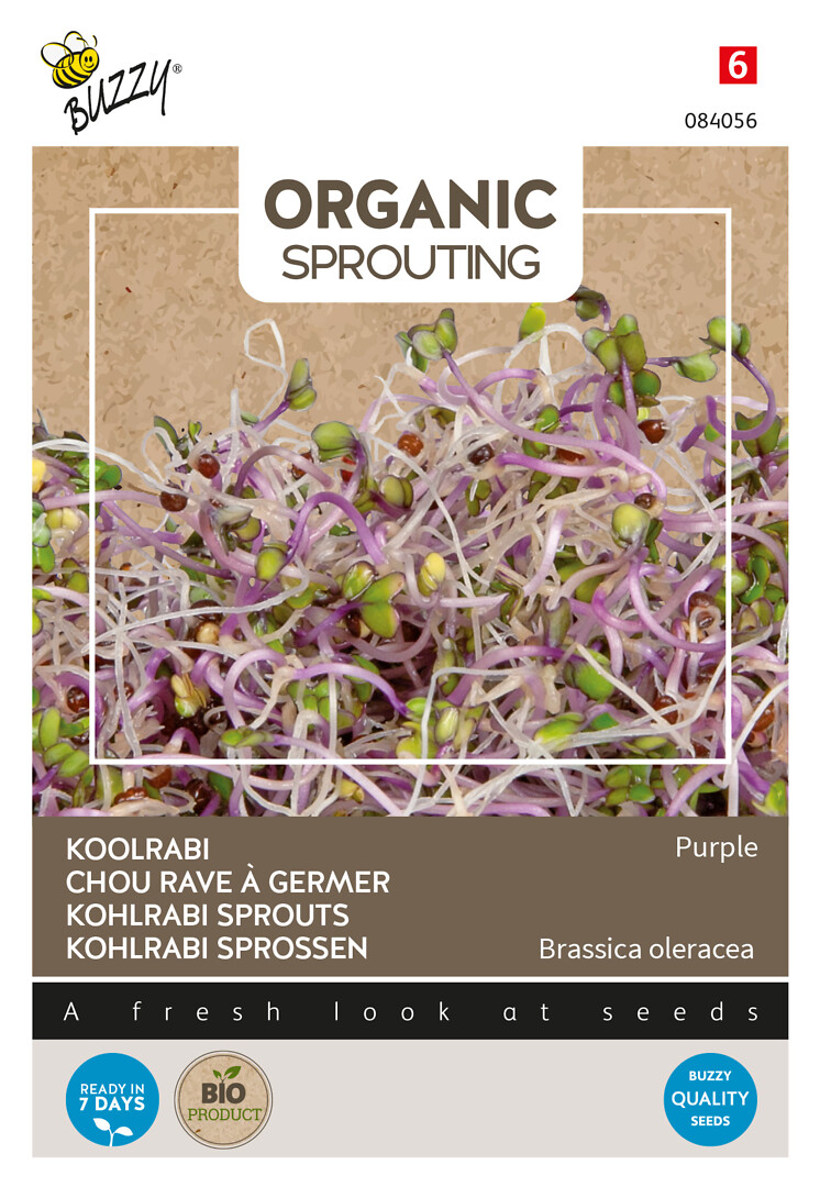 Bio Sprouting kyssäkaali violetti