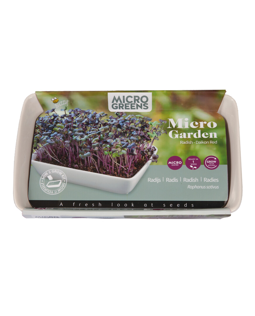 Microgreens Daikon-siemenet ja astia