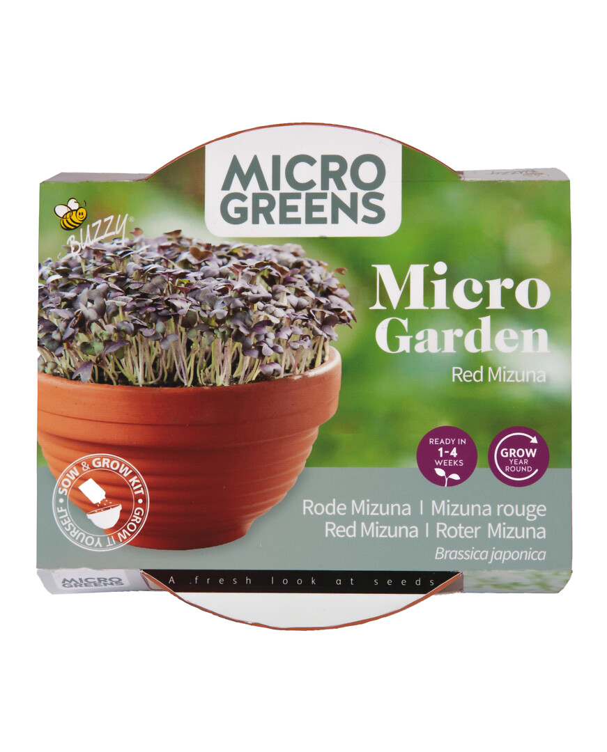 Microgreens terracotta-kulho ja punalehtisen mizunan siemenet