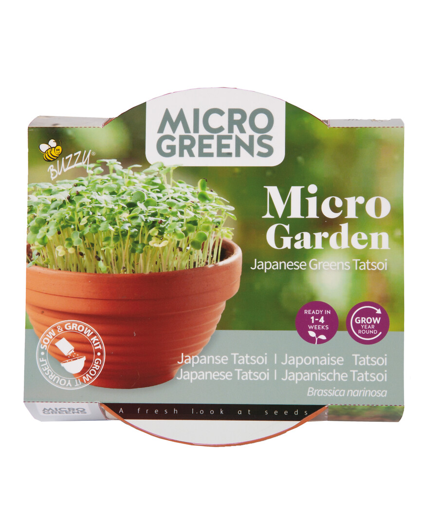 Microgreens terracotta-kulho ja tatsoin siemenet