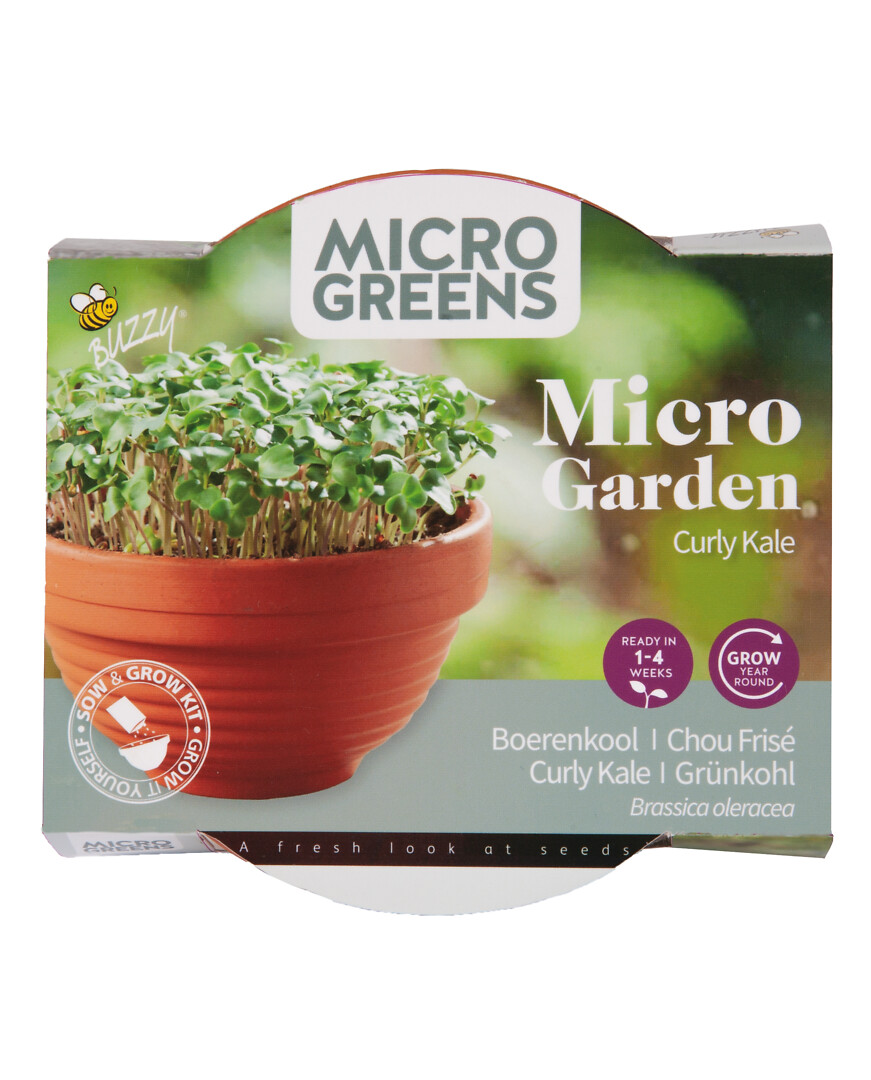 Microgreens terracotta-kulho ja lehtikaalin siemenet