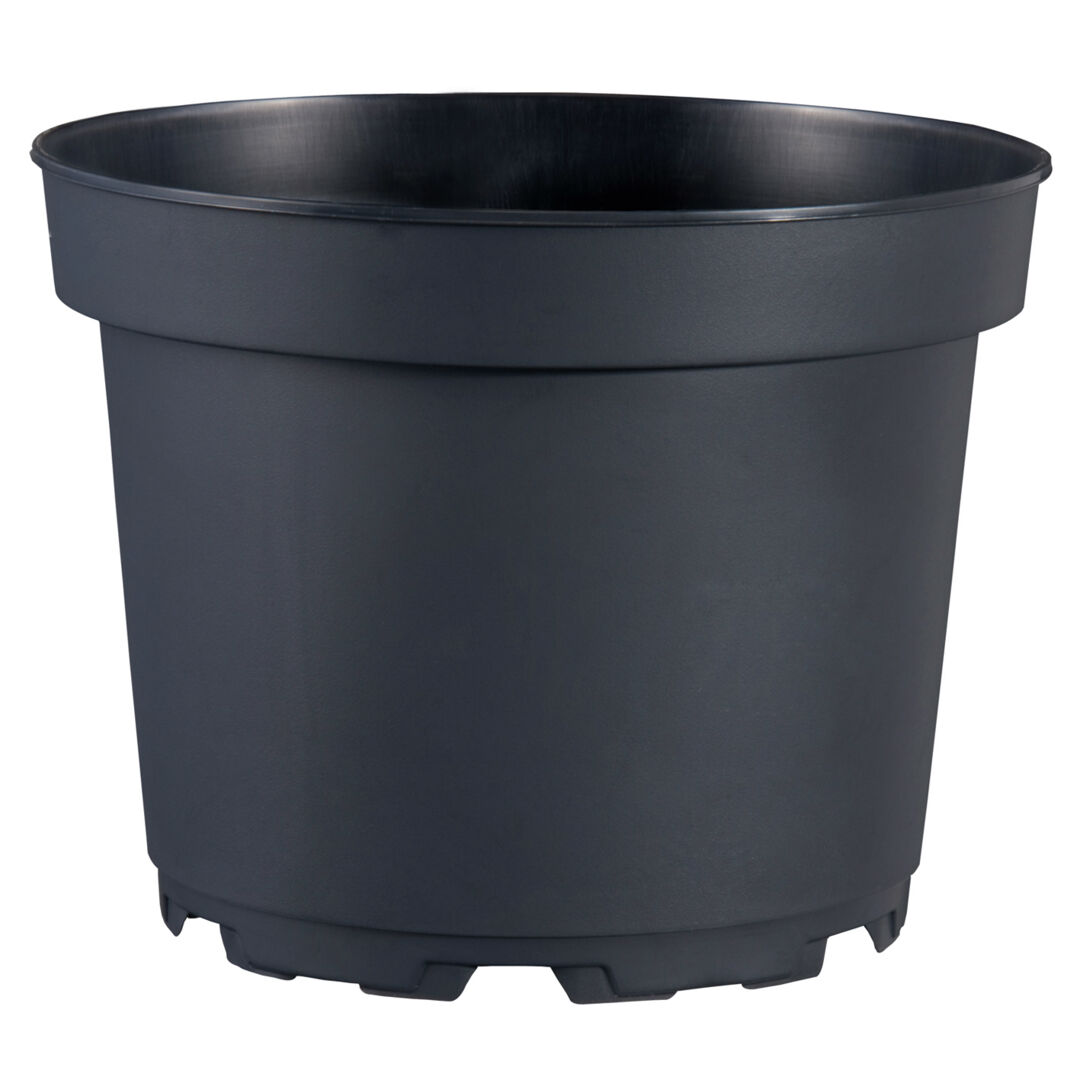 MCI 15 cm 1,5 L taimistoruukku  5 °