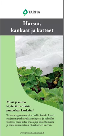 Kankaat-esite