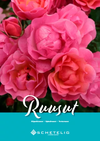 Ruusut-esite