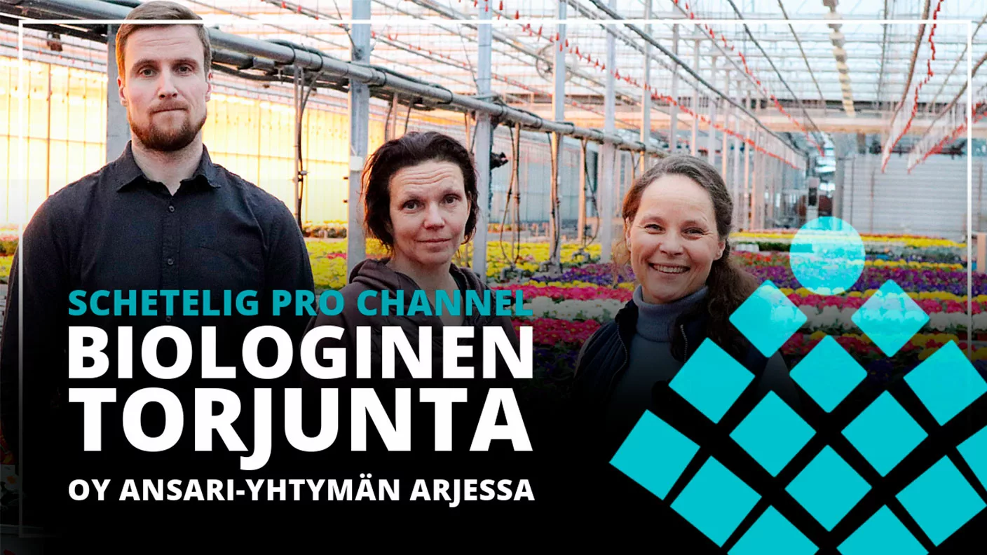 Biologinen torjunta Oy Ansari-Yhtymän arjessa
