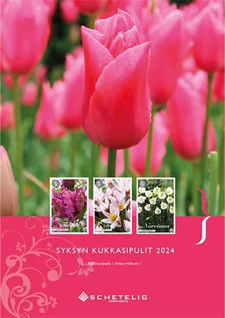 Syksyn kukkasipulit 2024