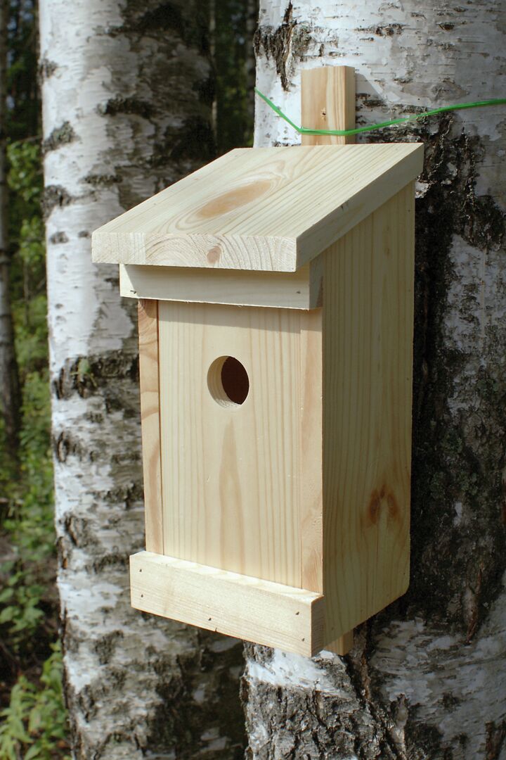 Lintupönttö A 14*14*29 cm