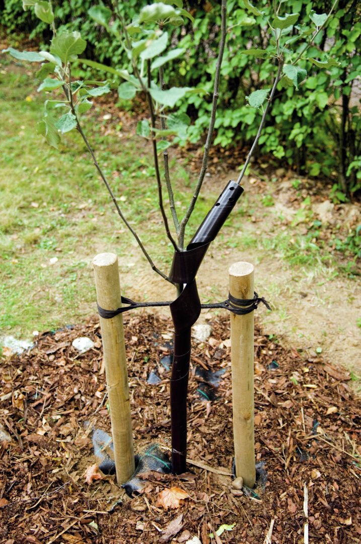 Rungonsuoja 60 cm 5 kpl/nippu