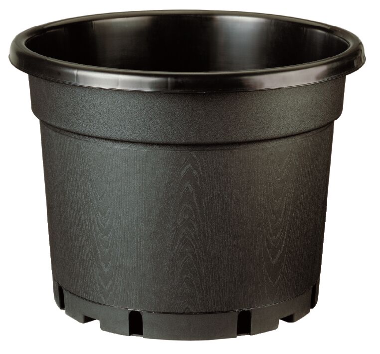 MCD  31 cm 12 L taimistoruukku  5 °