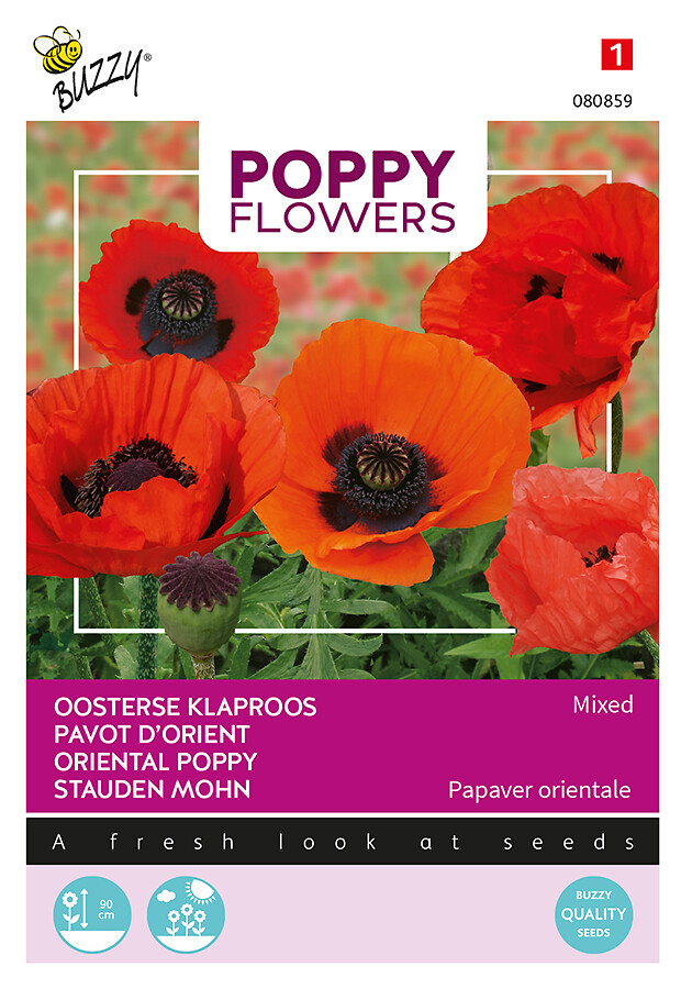 Poppy Flowers idänunikko