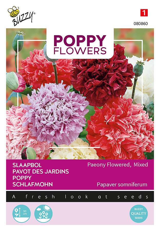 Poppy Flowers pioniunikko sekoite