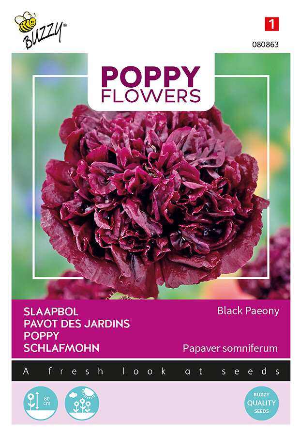 Poppy Flowers pioniunikko Black Paeony