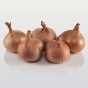 Salottisipuli 500 g 7/15