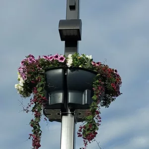 Jiflor 800 amppeli tupla harmaa