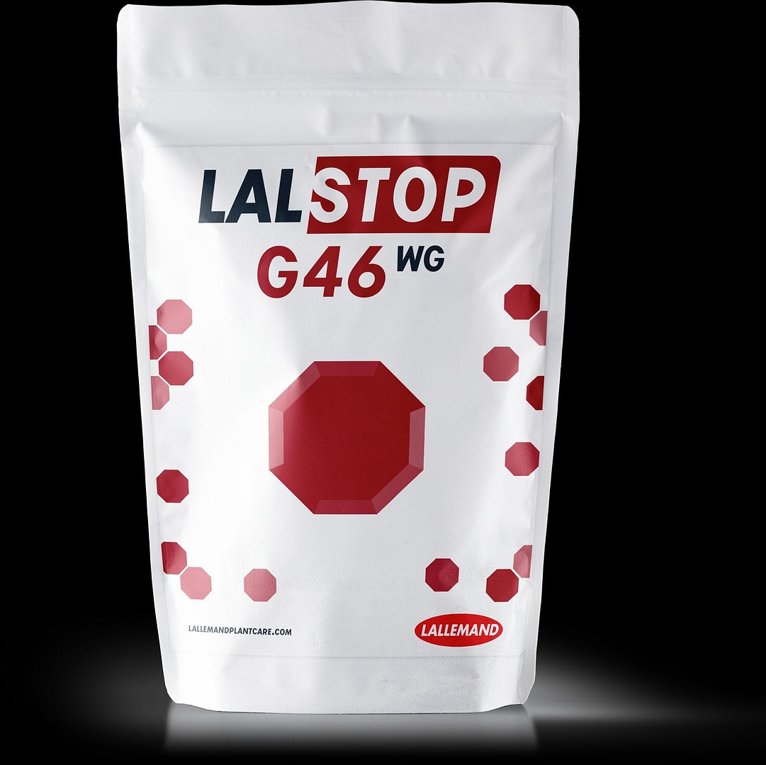 Lalstop G46 WG 100 g
