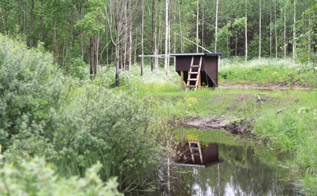 Rautafosfaatinpoistojärjestelmä